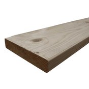 Pine 240x45 MGP10 LOSP H3 DAR